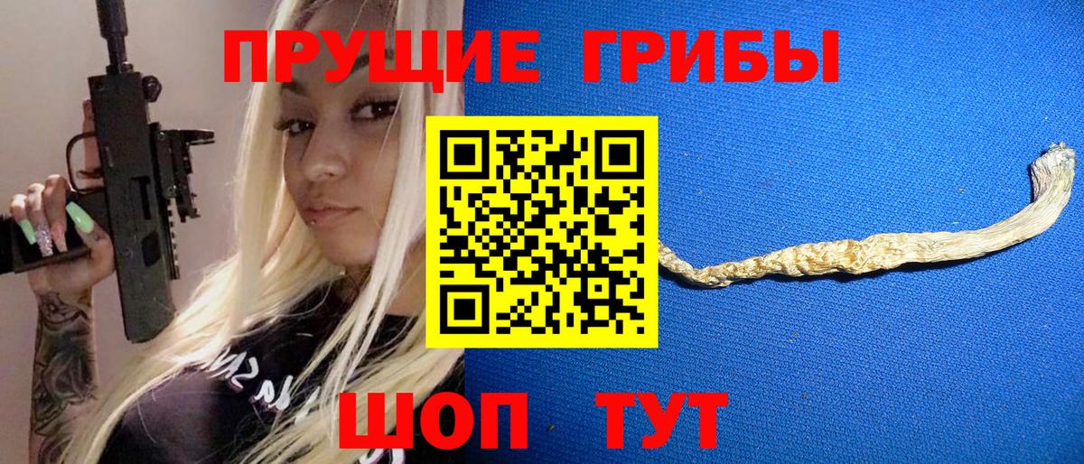 Новодвинск  Псилоцибиновые грибы Psilocybine cubensis  Вход с VPN 