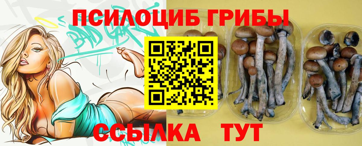 Галлюциногенные грибы GOLDEN TEACHER Новодвинск